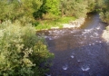 Водните количества на реките са около и над праговете за средни води